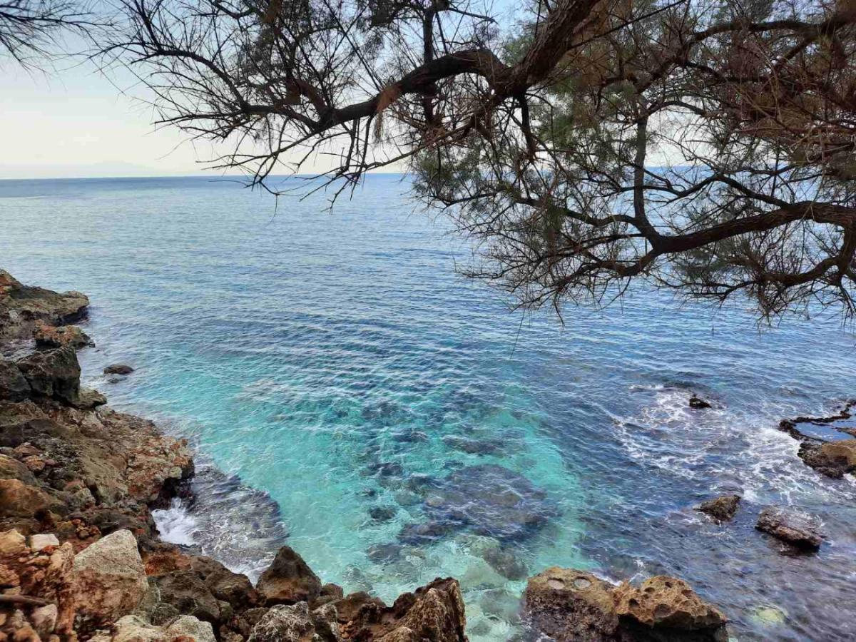New Sea Escape Boutique Apt-Agii Aposto Li Beach Chania  Eksteriør billede