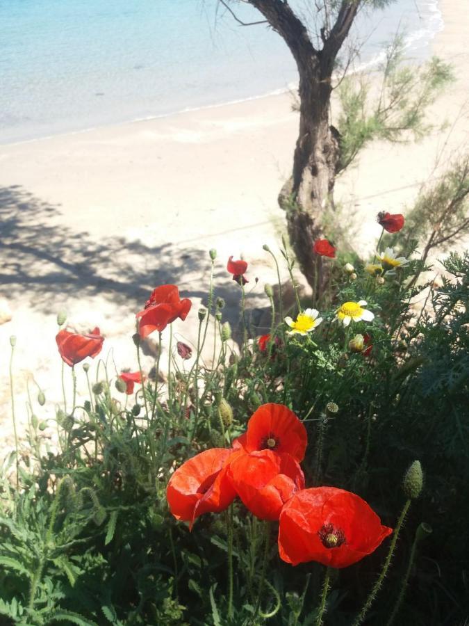 New Sea Escape Boutique Apt-Agii Aposto Li Beach Chania  Eksteriør billede