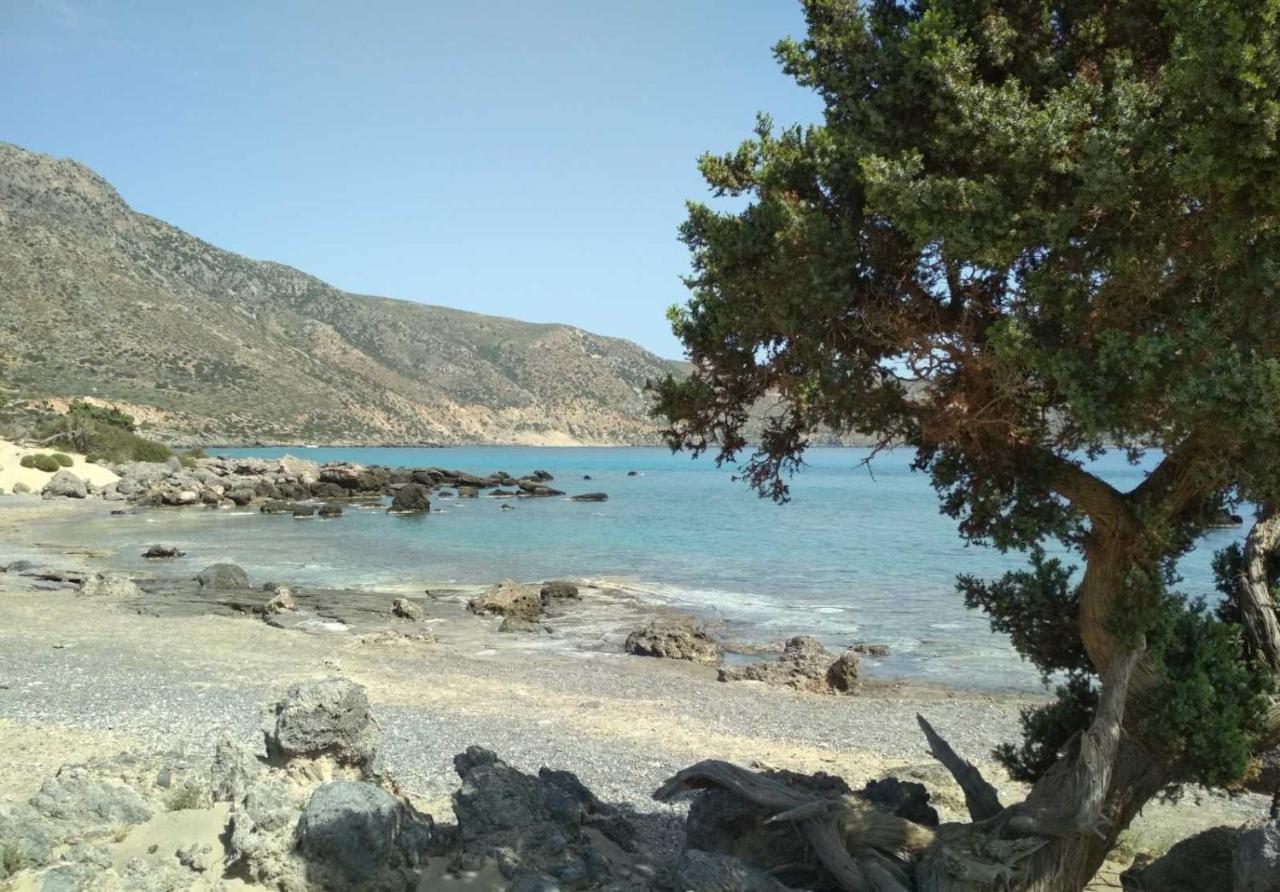 New Sea Escape Boutique Apt-Agii Aposto Li Beach Chania  Eksteriør billede